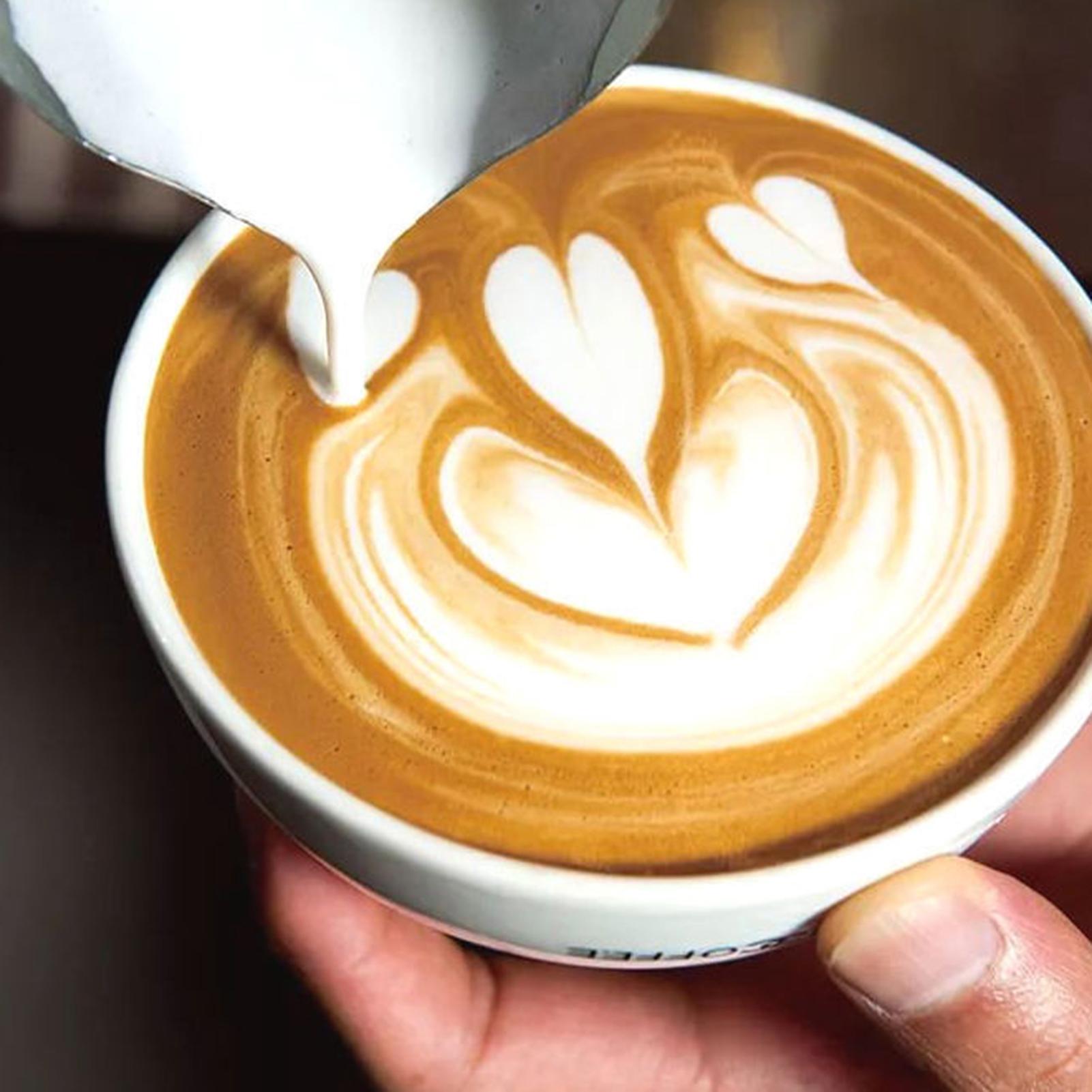Cafetera Turca de 600 ml con B - Xbloom Coffee Tea reseña y precio